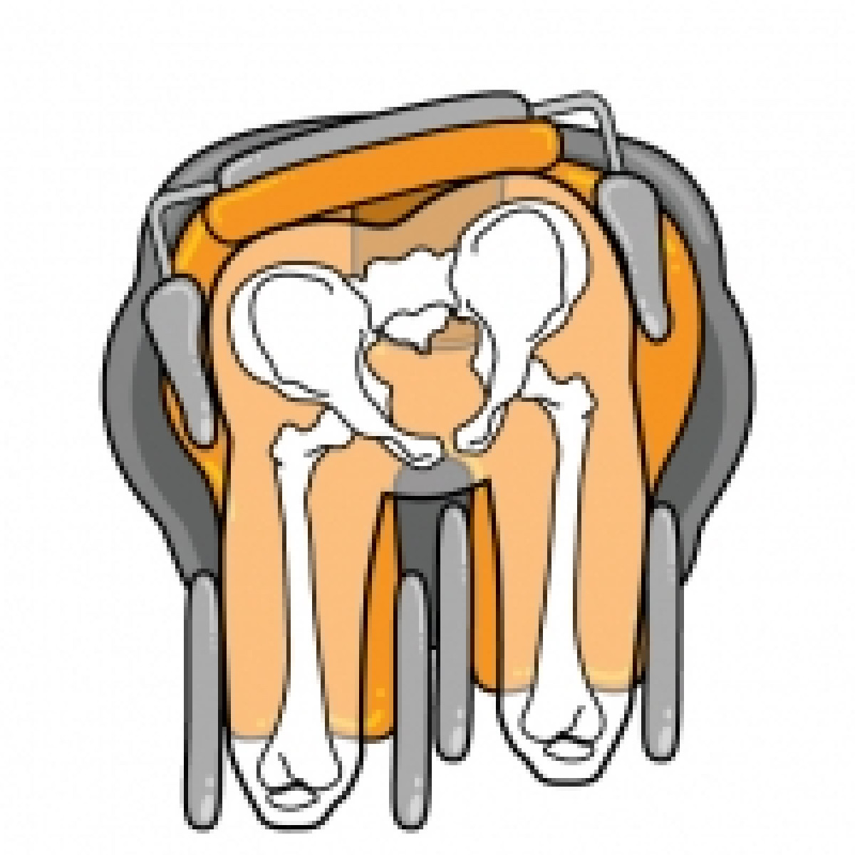 Pelvic rotation